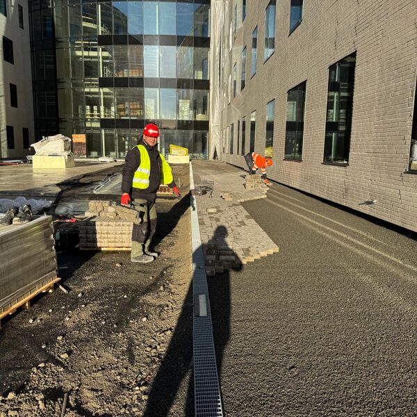 Stradiņu slimnīcas terotorijas iekārtošana